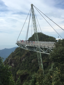 Maleisië - De mooie Skybridge met een fantastisch uitzicht.