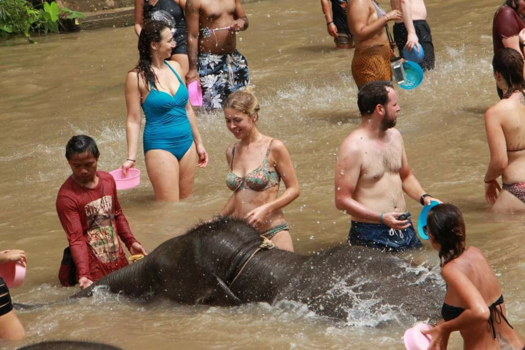 Rondreis Noord-Thailand - The elephant sanctuary