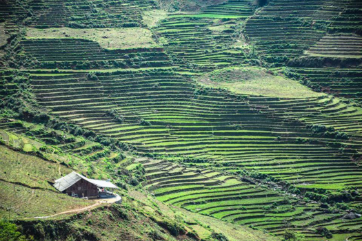 Rondreis Noord-Vietnam - Sapa