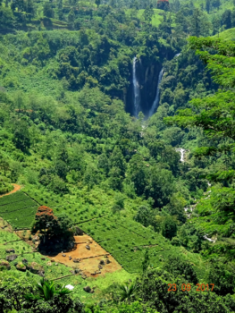 Sri Lanka - versatile beautiful sri lanka