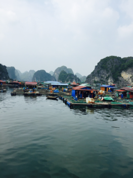 Halong Bay - Floating Village