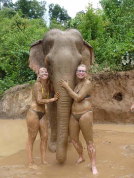 Thailand - When your bestfriend is an elephant ..