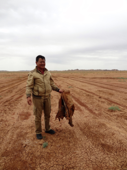 Mongolië - Na een jaar de jas weer terug gevonden in de woestijn van Mongolië. Wat een toeval.