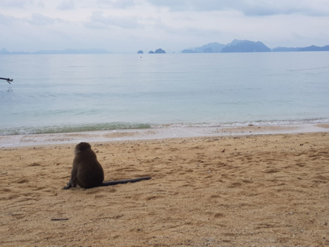 Rondreis Thailand in twee weken - Zo mooi
