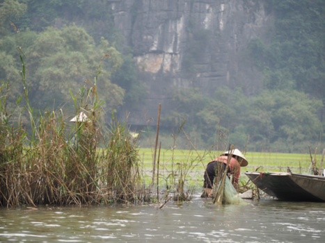 Ninh Binh - Local in de rijstvelden
