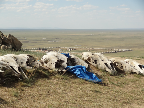 Mongolië - Uitzicht op Erdene Zuu Klooster