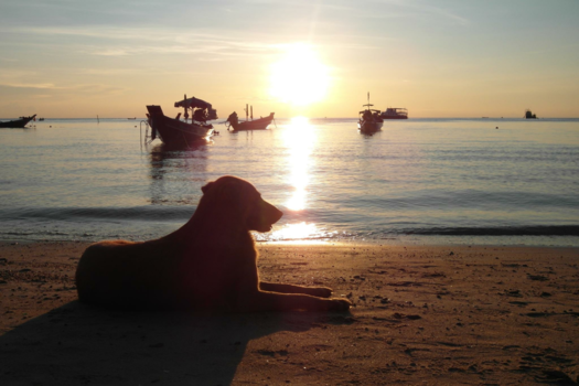 Rondreis Zuid-Thailand - Golden hour 😍