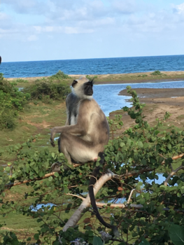 Sri Lanka - Wat een uitzicht