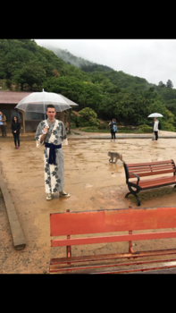 Kyoto - Arashiyama monkey park