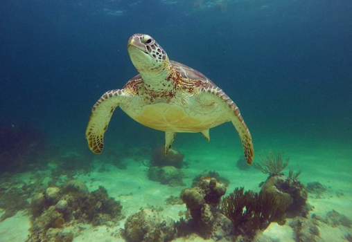 Filipijnen - Travel is a miracel