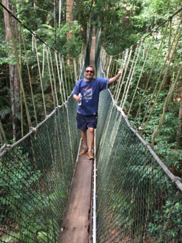 Taman Negara National Park - The beauty and silence of nature