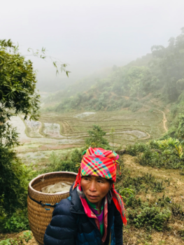 Sapa - A long way from home