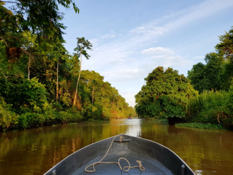 Maleisië - Kinabatagan river Kota kinabalu