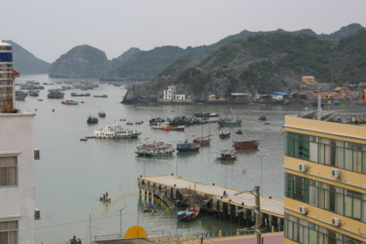 Rondreis Vietnam in vier weken - Halong Bay