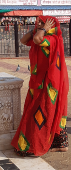 India - Wanhopige vrouw biddend in de ratten Tempel in india