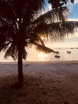 Koh Tao - Wegdromen aan het water
