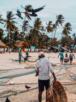 Sri Lanka - Vangst binnenhalen