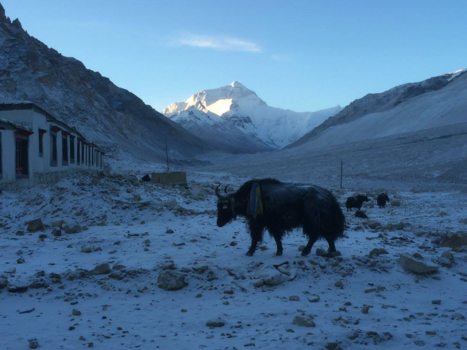 Tibet - Basecamp himalaya