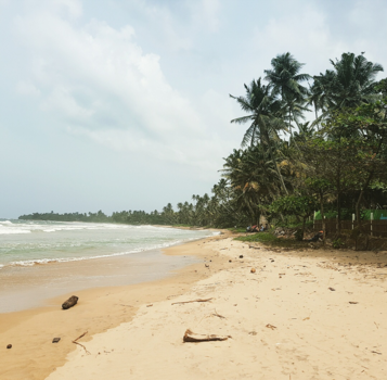 Sri Lanka - Sri lanka