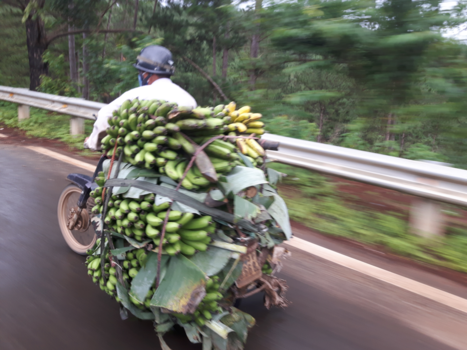 Vietnam - Banaan!