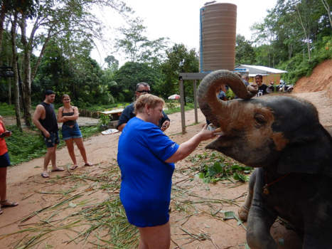 Phuket - melk geven aan de olifant