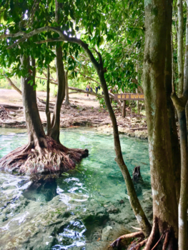 Thailand - Magische wateren ... bomen lijken te drijven...drijf zelf ingedachte weg....