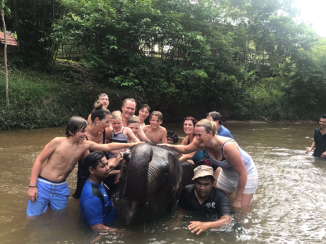 Maleisië - Uniek groots