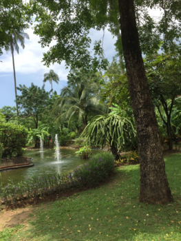 Phuket - Een tuin bij het hotel