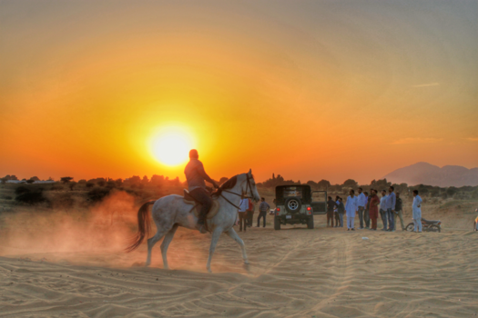 Pushkar - Dusty Dusk