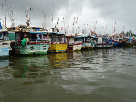 Sri Lanka - Dutch Canal - Negombo