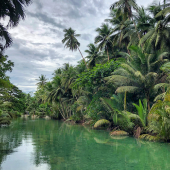 Filipijnen - Euforic jungle