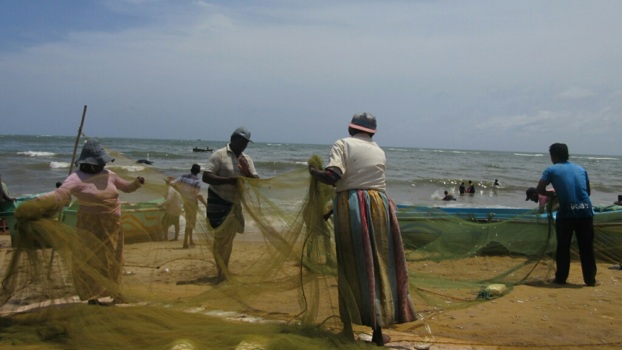 Sri Lanka - Verse vis bij Negombo