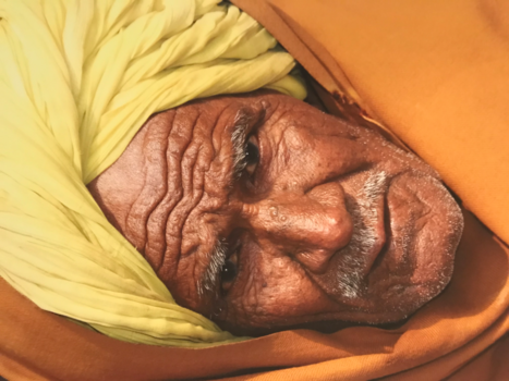 India - Een uitgesproken gezicht van radjahstan