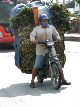 Vietnam - In Vietnam vervoeren ze alles op de brommer