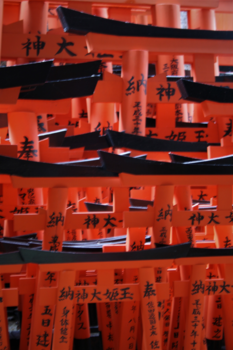 Japan - Het Vossenschrijn complex in Kyoto