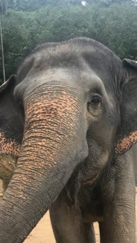 Eilandhoppen in Thailand