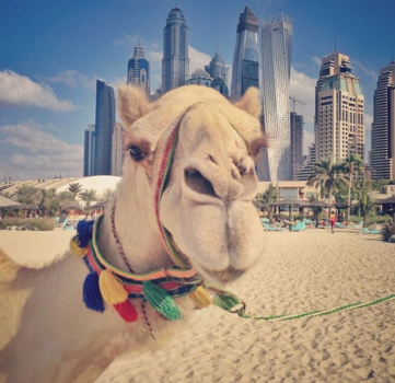 Dubai - Say hello to my new girlfriend! :)