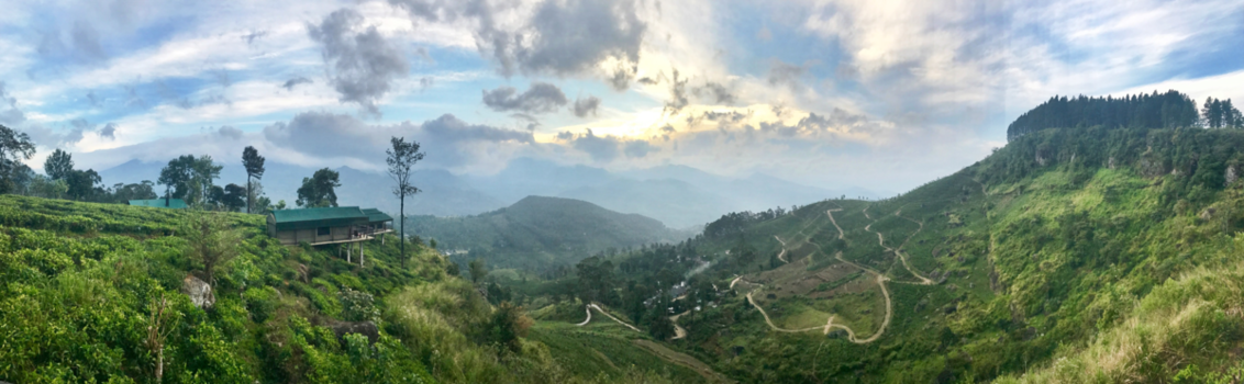 Sri Lanka - Teafarm in the highlands of Sri Lanka
