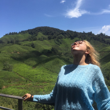 Cameron Highlands - Sunny