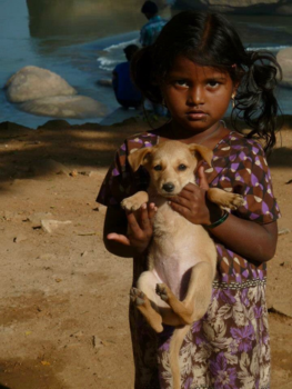 India - Little girl, little dog