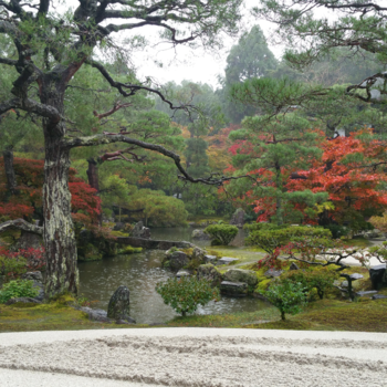 Kyoto - Tranquillity