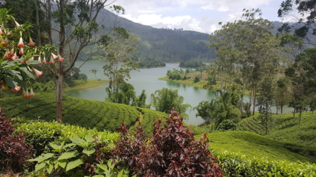 Sri Lanka - 'A fairytale on earth' (Hatton, Sri Lanka)