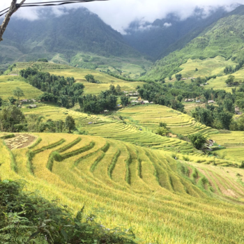 Rondreis Vietnam in vier weken