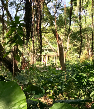 China - Lianhua Park