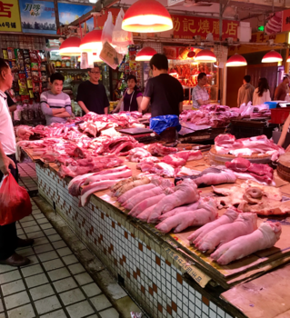 China - Shekou Wet Market