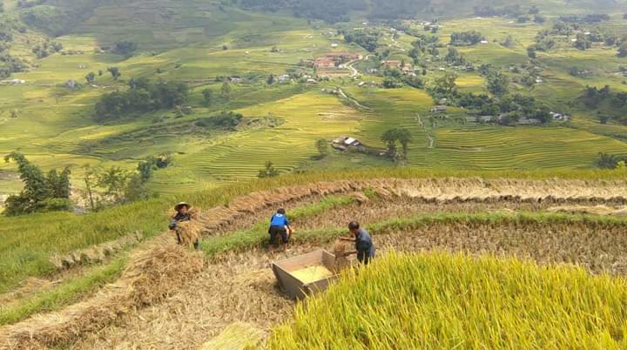 Sapa - Omgeving Sapa