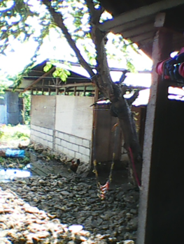 Filipijnen - ons huisje