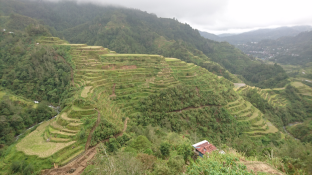 Filipijnen - Rijsvelden Banaue