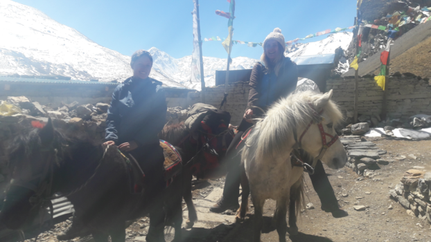 Annapurna Trail Trek - Bloed, zweet en geluk