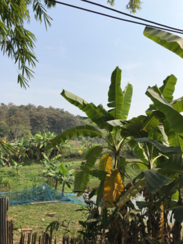 Rondreis Noord-Thailand - Noord Thailand